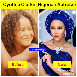 Cynthia Clarke Biography, Wikipedia, Age, Husband, Children, Parents, Net Worth