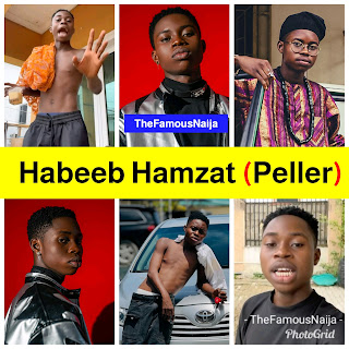 Habeeb Hamzat (Peller) Biography, Wikipedia, Age, Girlfriend, Net Worth, Pictures