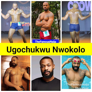 Ugochukwu Nwokolo Biography, Wikipedia, Age, Pictures, Wife, Net Worth